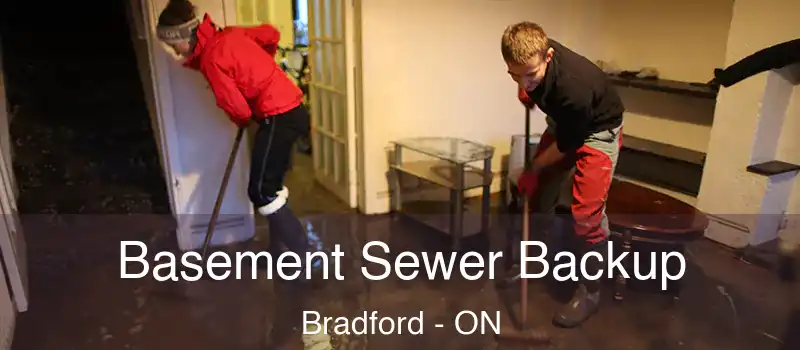 Basement Sewer Backup Bradford - ON