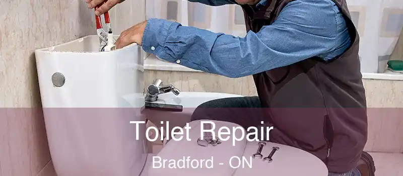 Toilet Repair Bradford - ON